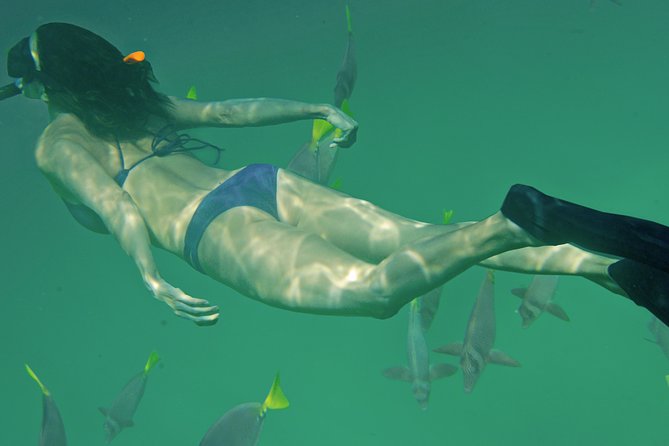 Private Snorkeling Tour in Cabo San Lucas - What to bring and how to plan your time