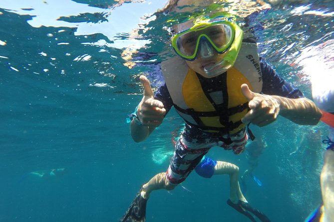 Private Snorkeling Tour in Cabo San Lucas - The two-hour plan: Pelican Rock and the marine park