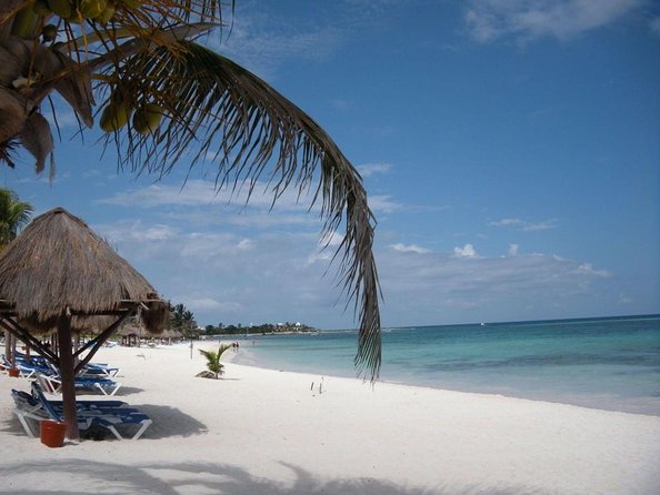 Private Snorkeling with Sea Turtles in Akumal Beach - Key points to know before booking