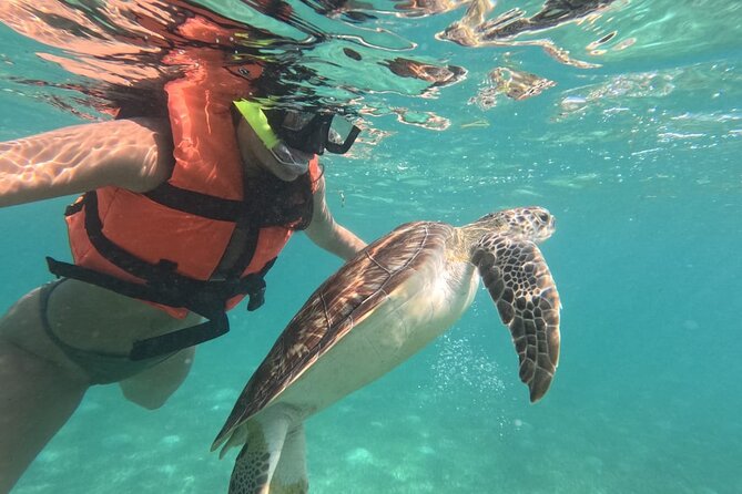 Private Snorkeling with Sea Turtles in Akumal Beach - Meeting Darwin and getting ready at Playa Akumal