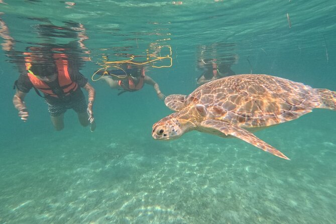 Private Snorkeling with Sea Turtles in Akumal Beach - Why an early start can improve the experience