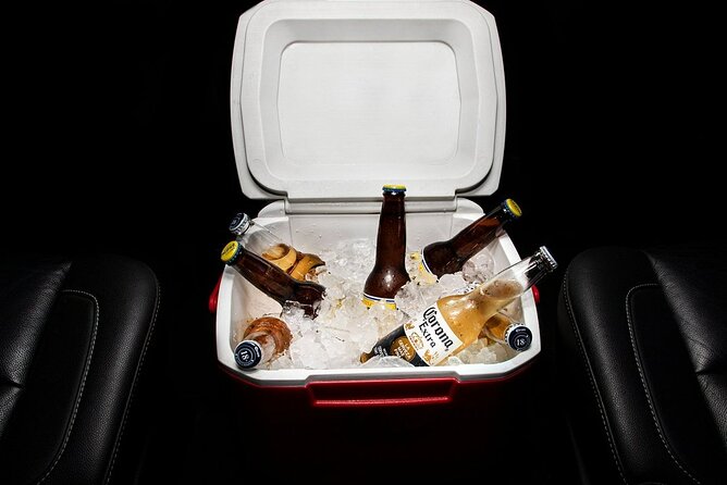 Private SUV Round-Trip from Airport to Hotels in Cabo San Lucas - Communication and driver quality