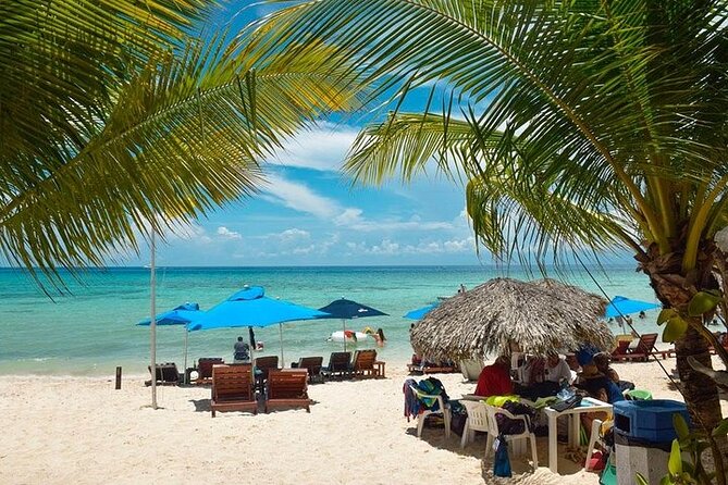 Private Tour: 5-Hour Cozumel Sightseeing with Private Driver and Tequila Tasting - San Gervasio, Cozumel’s major Maya site