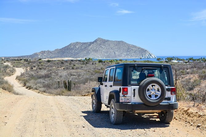 Private Tour Baja Jeep 4x4 Adventure at Los Cabos - Key points to know before booking
