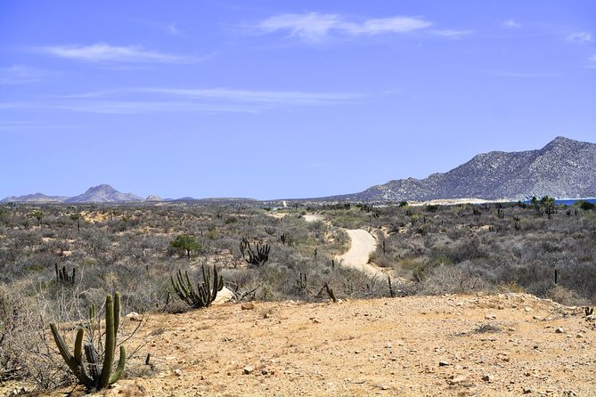 Private Tour Baja Jeep 4x4 Adventure at Los Cabos - Santiago offers a short look at an oasis community
