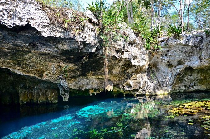 Private Tour The Best Cenotes in Tulum Riviera Maya - What makes this cenote day special