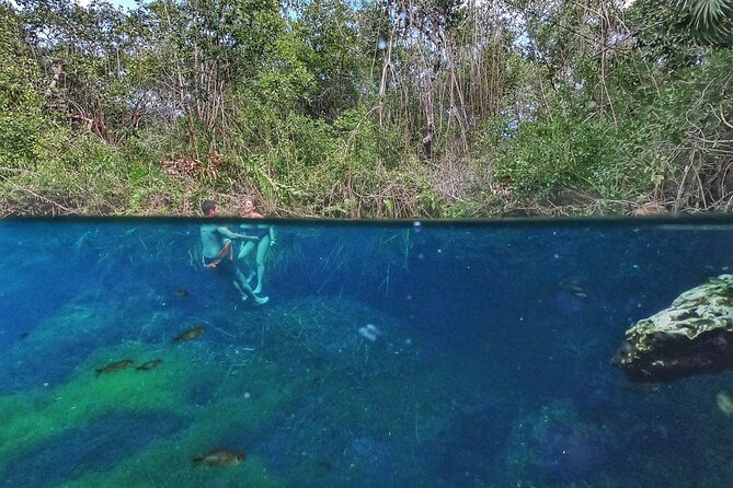 Private Tour The Best Cenotes in Tulum Riviera Maya - Xunaan Ha: open sky and a more relaxed finish