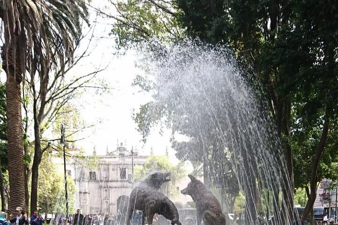 Private Tour: Xochimilco, Coyoacan and Frida Kahlo Museum - UNAM’s library murals in twenty minutes