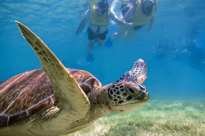 Private Tulum Ruins, Turtles in Akumal and Cenote Adventure - Tulum before the heat builds