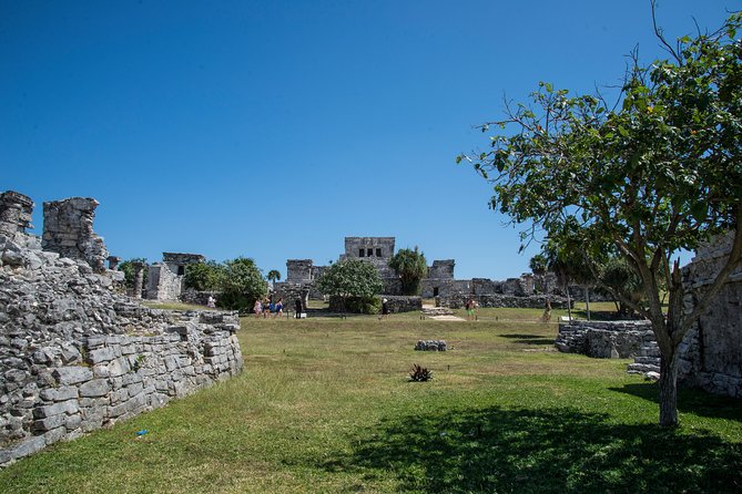 Private Tulum Ruins, Turtles in Akumal and Cenote Adventure - The cenote’s cool, cave-like world
