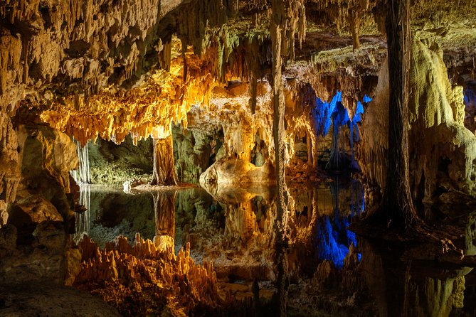 Private Turtles & Cenotes Adventure - Is $310 per person a fair price?