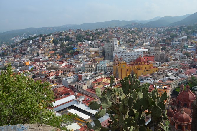 Private walking tour in Guanajuato (available from 1 person) - Mercado Hidalgo: food, work, and everyday Guanajuato