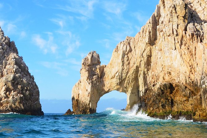PRIVATE Whale Watch Tour | Cabo San Lucas | Biologist | FREE Pics - Why this private Cabo whale tour costs more