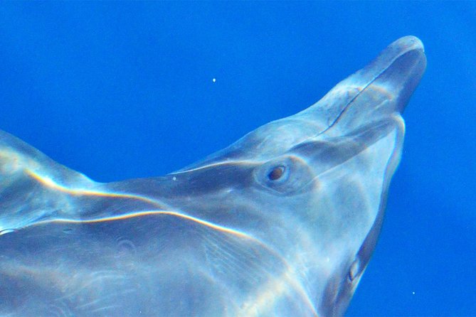 PRIVATE Whale Watch Tour | Cabo San Lucas | Biologist | FREE Pics - Heading into the Sea of Cortez or Pacific Ocean