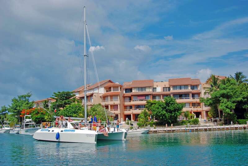 Puerto Aventuras: Dolphin Swim, Sea Lions, Manatees, & Lunch - Family height rules can change the experience