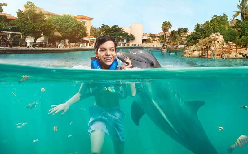 Puerto Aventuras: Dolphin Swim, Sea Lions, Manatees, & Lunch - What happens when you arrive