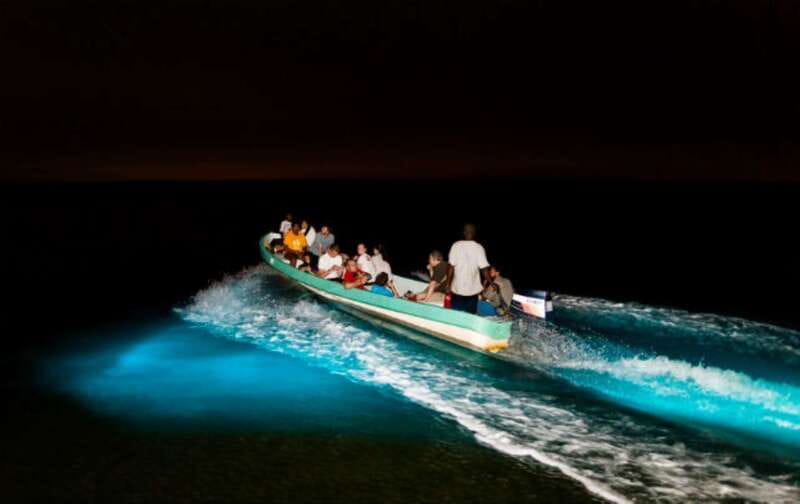 Puerto Escondido: Bioluminescence Night Spectacle - From your Puerto Escondido hotel to the dark lagoon