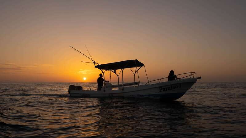 Puerto Escondido: Boat Tour among Dolphins and Turtles - Key points to know before you book