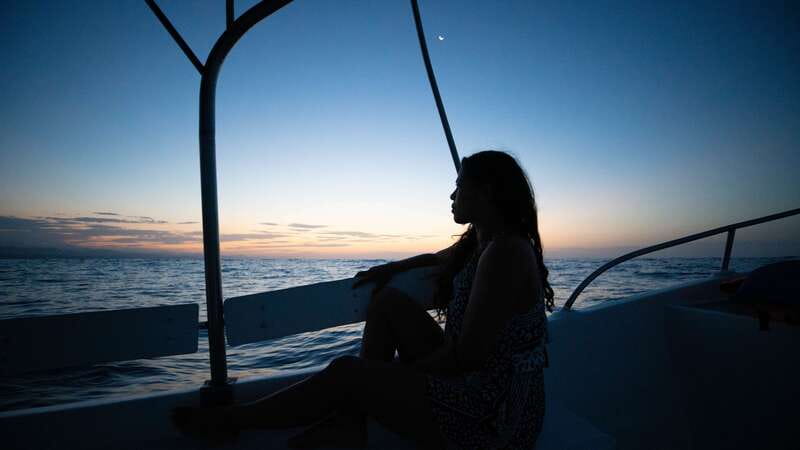 Puerto Escondido: Boat Tour among Dolphins and Turtles - Three hours of wildlife watching