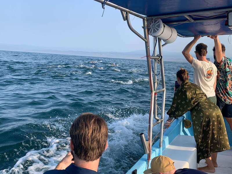 Puerto Escondido: Boat Tour to see Dolphins and Marine Life - Key points to know before you book
