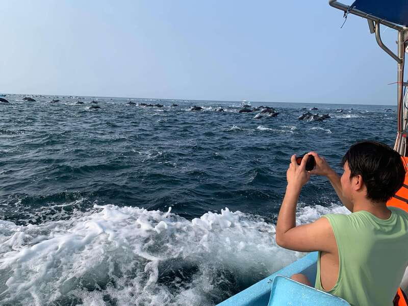 Puerto Escondido: Boat Tour to see Dolphins and Marine Life - Finding dolphins, turtles, rays, and flying fish