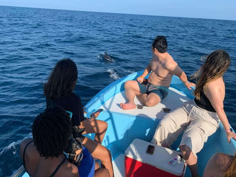 Puerto Escondido: Boat Tour to see Dolphins and Marine Life - Snorkeling at the reef and near shore