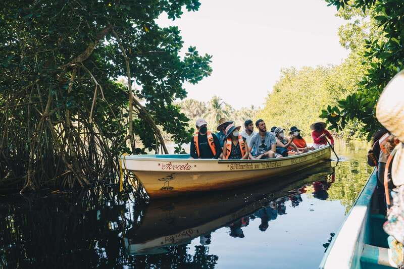 Puerto Escondido: Oaxaca Coast Wildlife Ecotour - Key points to know before booking
