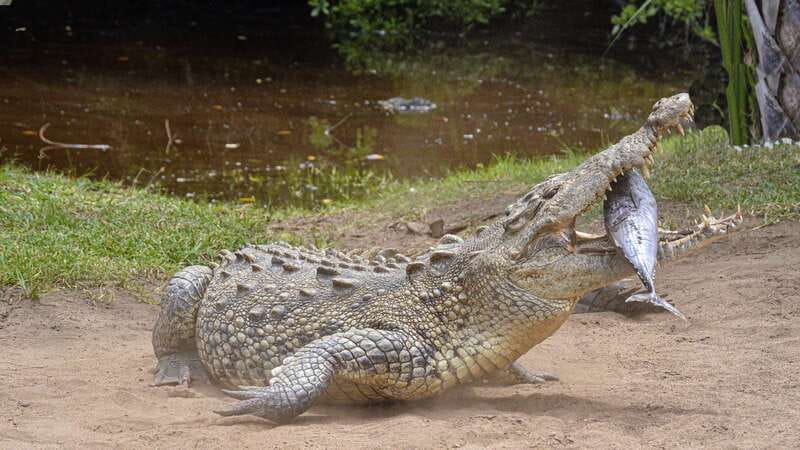 Puerto Escondido: Oaxaca Coast Wildlife Ecotour - Zipolite is a quick look at a famous beach