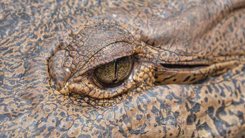 Puerto Escondido: Oaxaca Coast Wildlife Ecotour - Puerto Angel connects the route to the sea