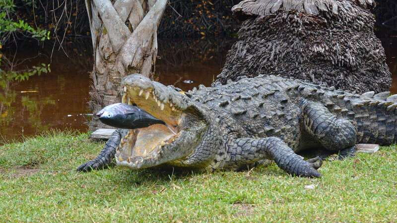 Puerto Escondido: Oaxaca Coast Wildlife Ecotour - Estacahuite is the best place to slow down
