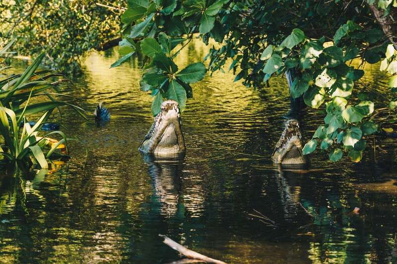 Puerto Escondido: Oaxaca Coast Wildlife Ecotour - The schedule is efficient, but not leisurely