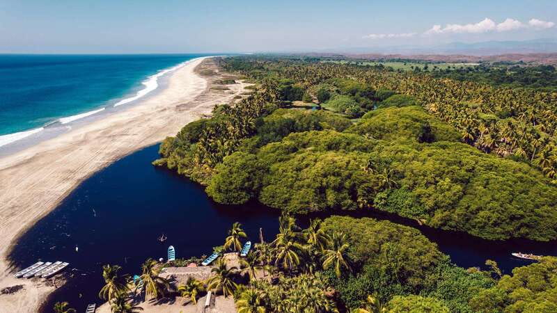 Puerto Escondido: Oaxaca Coast Wildlife Ecotour - What the guide adds to the day