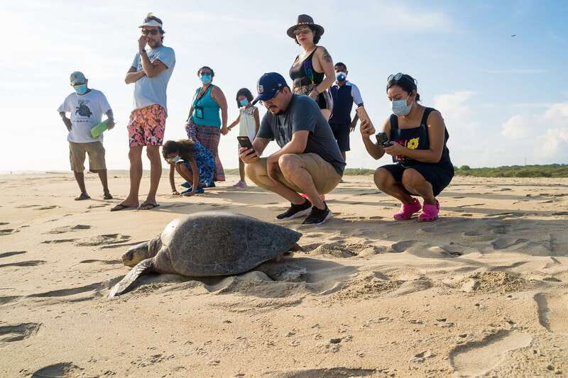 Puerto Escondido: Turtle Release Experience - The ride from your hotel to the protected beach