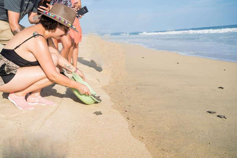 Puerto Escondido: Turtle Release Experience - Releasing one hatchling toward the waves