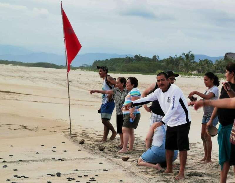 Puerto Escondido: Turtle Release Experience - Who will enjoy this activity most