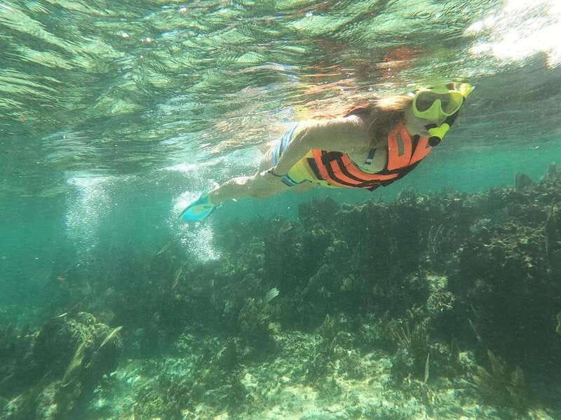 Puerto Morelos: Guided Snorkeling Tour with Gear & Fees - The boat ride and safety briefing