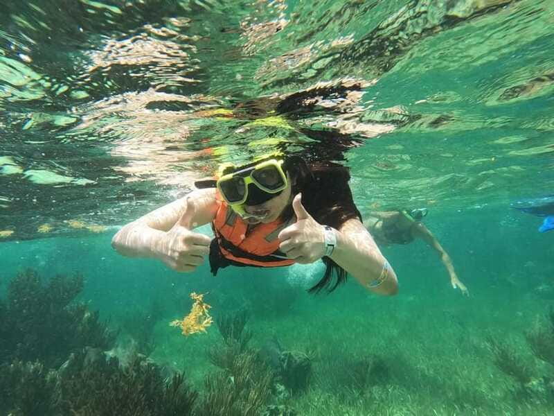 Puerto Morelos: Guided Snorkeling Tour with Gear & Fees - Second reef stop: a different view below the surface