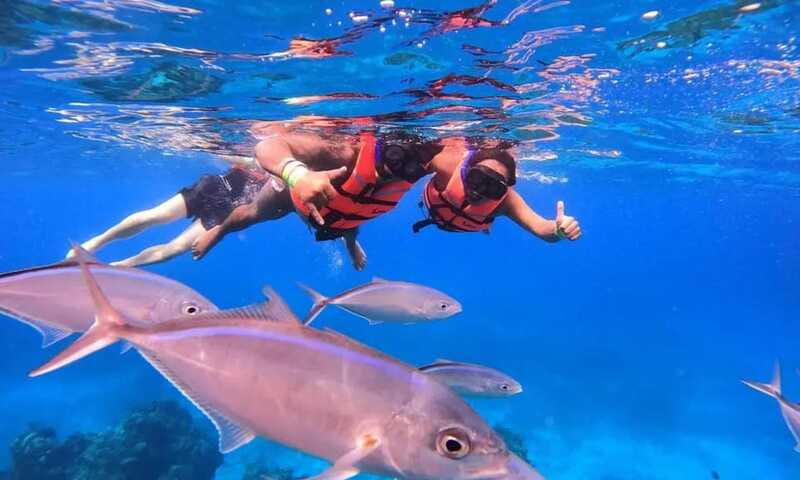 Puerto Morelos: Guided Snorkeling Tour with Gear & Fees - Who should book this Puerto Morelos trip