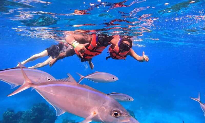 Puerto Morelos: Guided Snorkeling Tour with Gear & Fees - Meeting at Javier Rojo Gomez