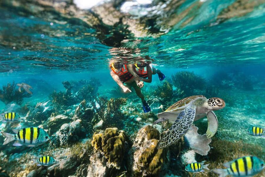 Puerto Morelos: National Reef Park Snorkeling & Beach Lunch - Key points to know before you book