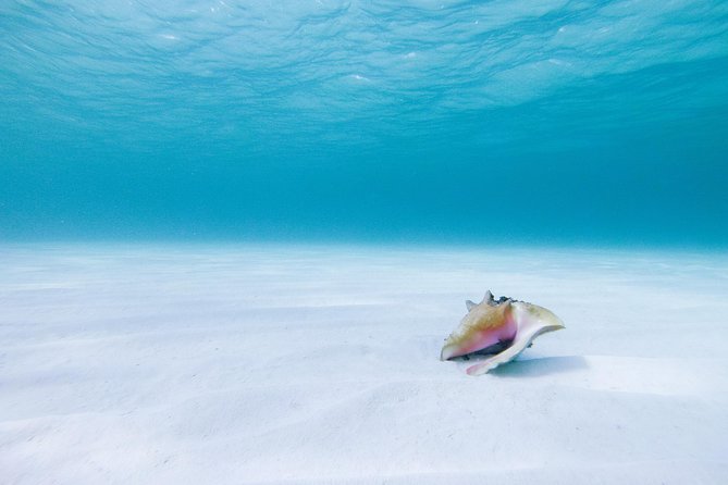 Puerto Morelos Secret Sandbar Catamaran Sail - What the Small Group Promise Means