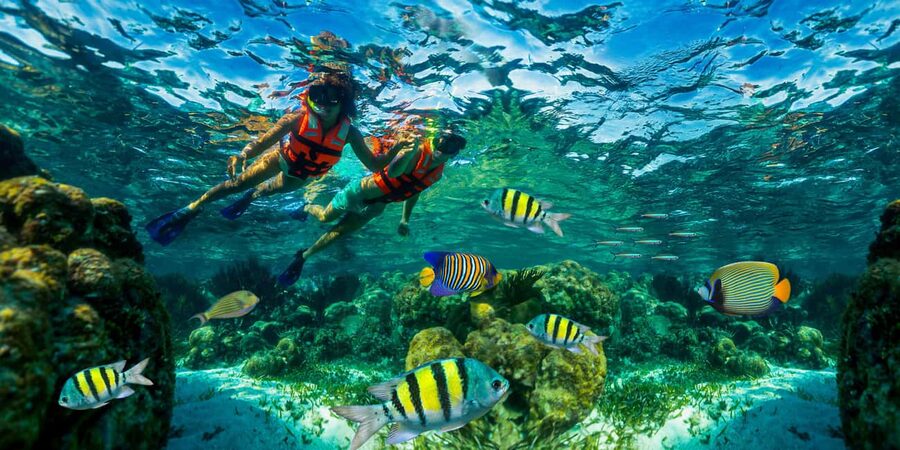 Puerto Morelos: Snorkel, Town Walk, Tequila & Beach Lunch - Why Puerto Morelos works for a half-day reef trip