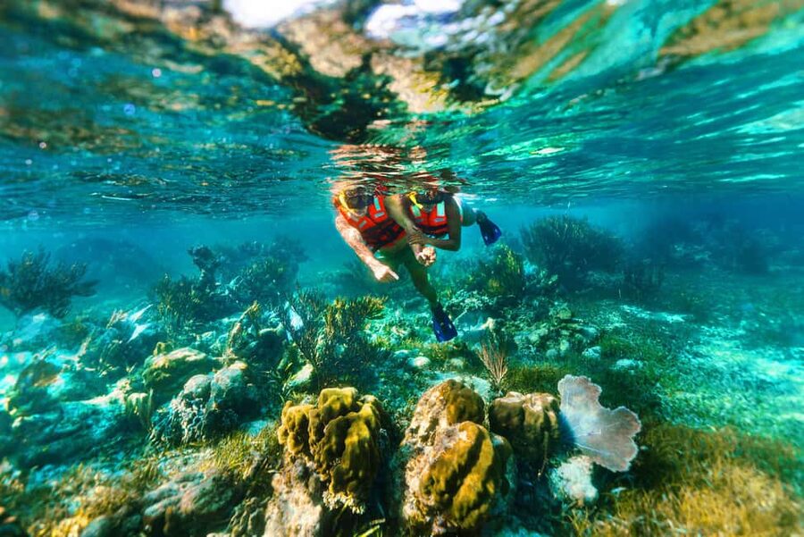 Puerto Morelos: Snorkel, Town Walk, Tequila & Beach Lunch - What 80 minutes of snorkeling really means