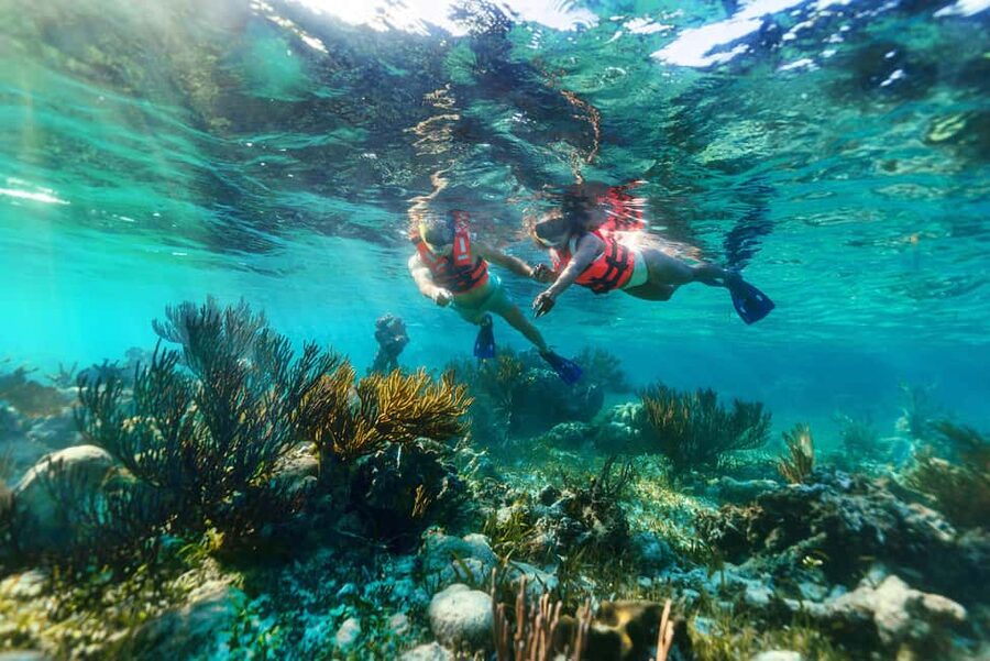 Puerto Morelos: Snorkel, Town Walk, Tequila & Beach Lunch - The value of $39, plus the extra costs