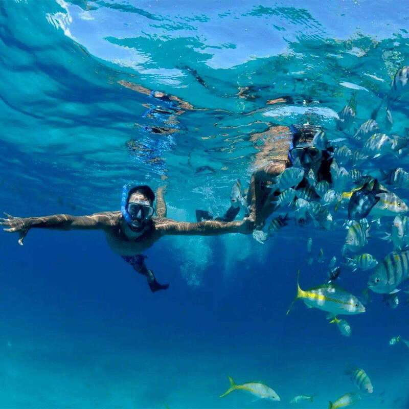 Puerto Morelos: Snorkeling at The National Reef Park - Key points at a glance