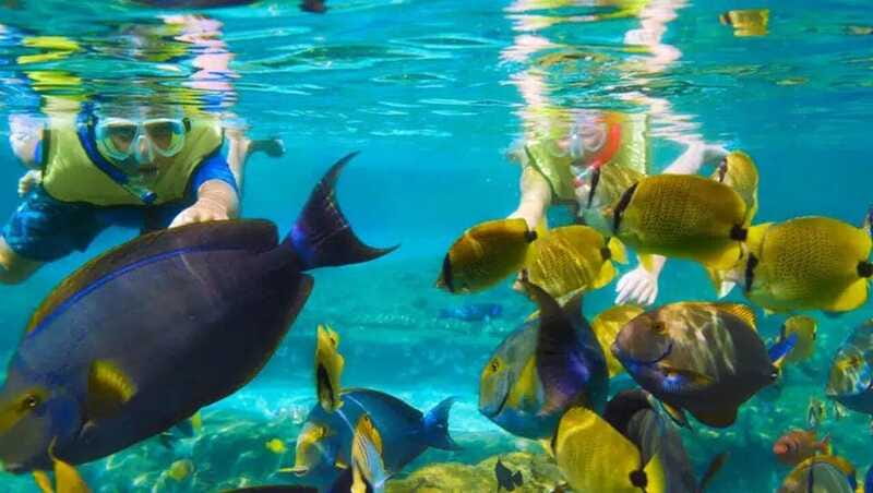 Puerto Morelos: Snorkeling at The National Reef Park - Safety for swimmers and families