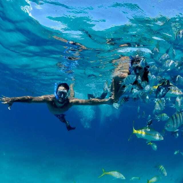 Puerto Morelos: Snorkeling at The National Reef Park - Who should book this Puerto Morelos outing?