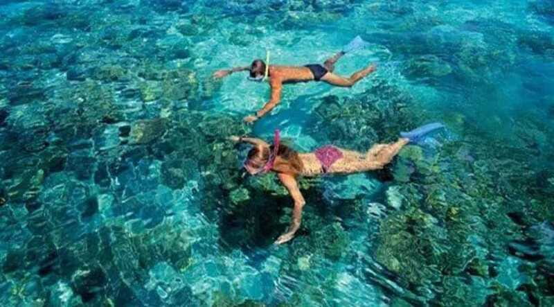 Puerto Morelos: Snorkeling at The National Reef Park - Should you book it?