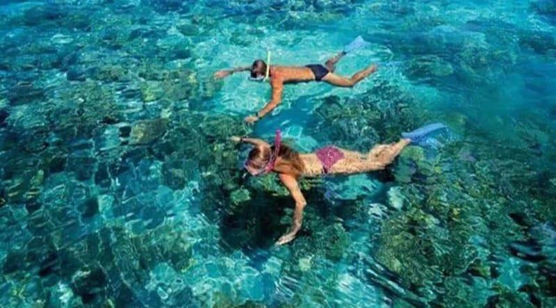 Puerto Morelos: Snorkeling at The National Reef Park - Meeting outside Crazy Fish Tacos