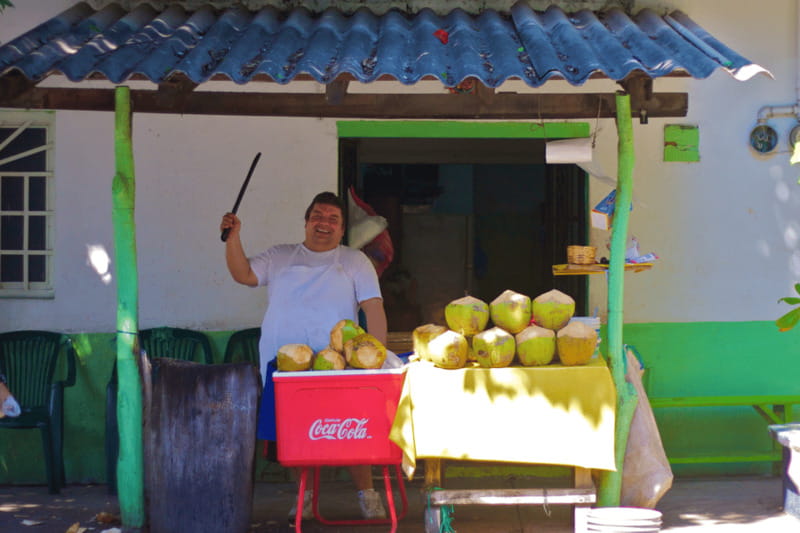 Puerto Vallarta 3-Hour Food Tour of Authentic Local Cuisine - Key points at a glance